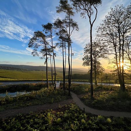 Loisium Wine & Spa Hotel Champagne Mutigny Luaran gambar
