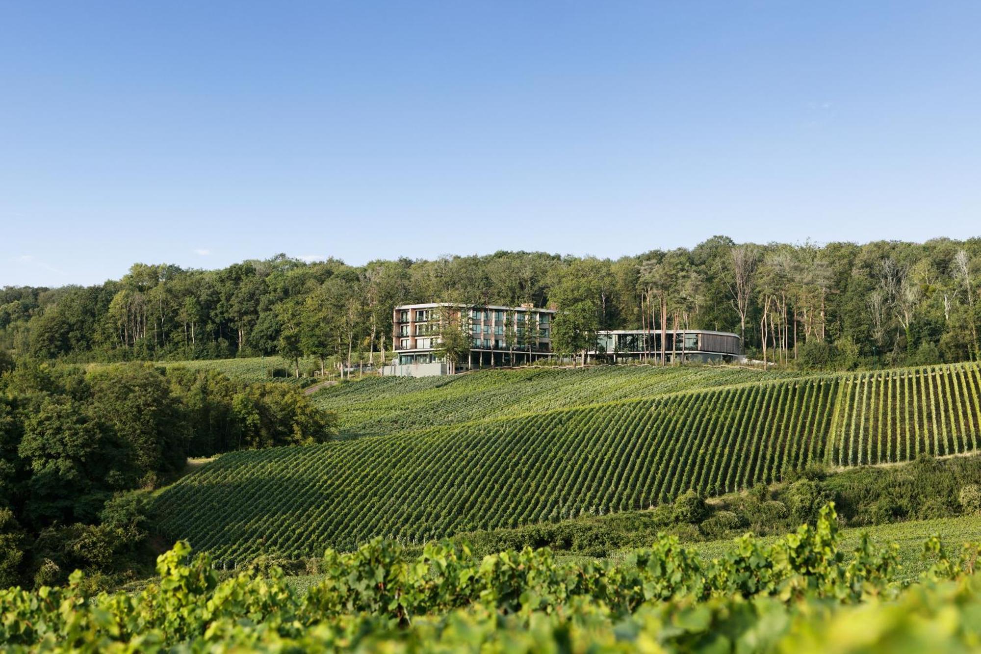 Loisium Wine & Spa Hotel Champagne Mutigny Luaran gambar