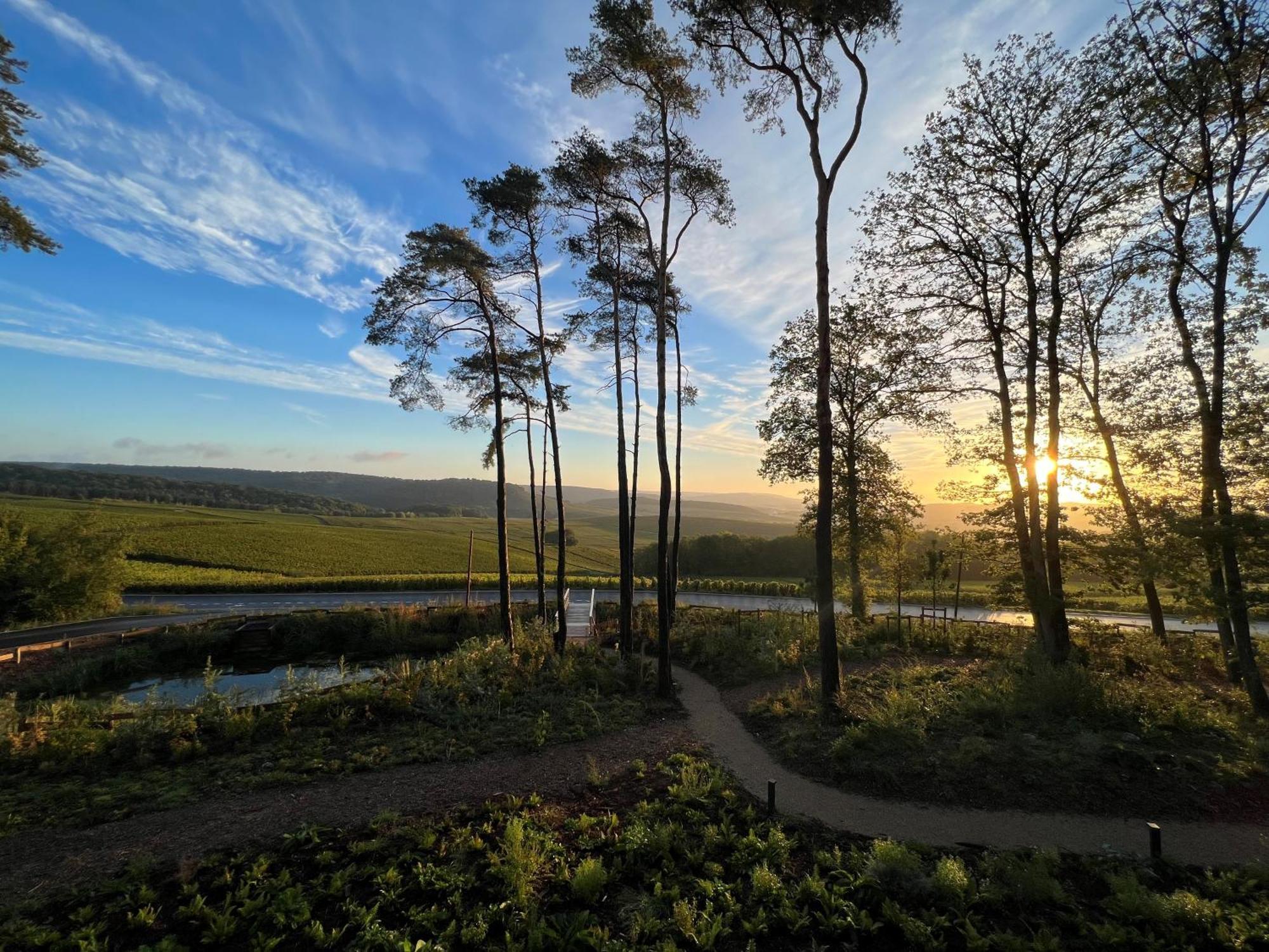 Loisium Wine & Spa Hotel Champagne Mutigny Luaran gambar